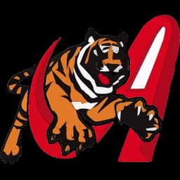 Tigres de Aragua