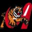 Tigres de Aragua